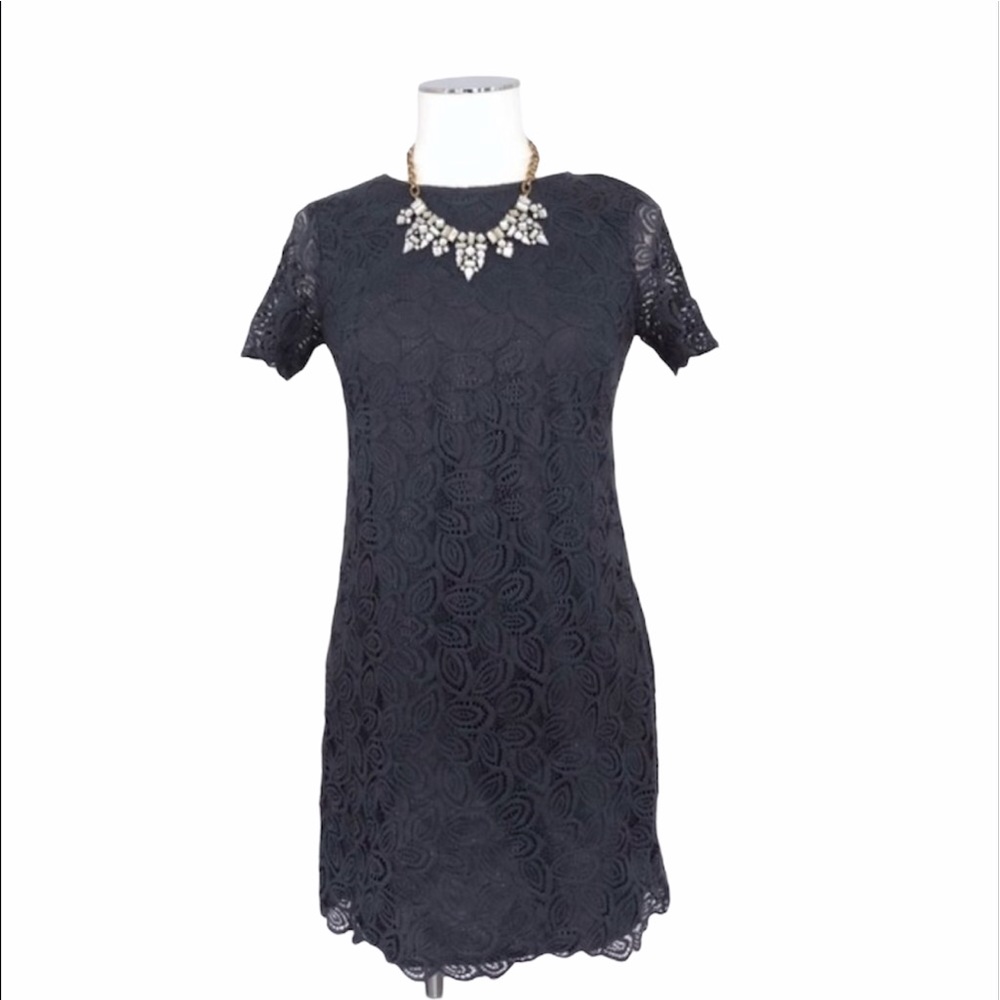 ANN TAYLOR Petite Lace Cotton Blend Sheath Dress Short Sleeve Navy Blue Sz 2P